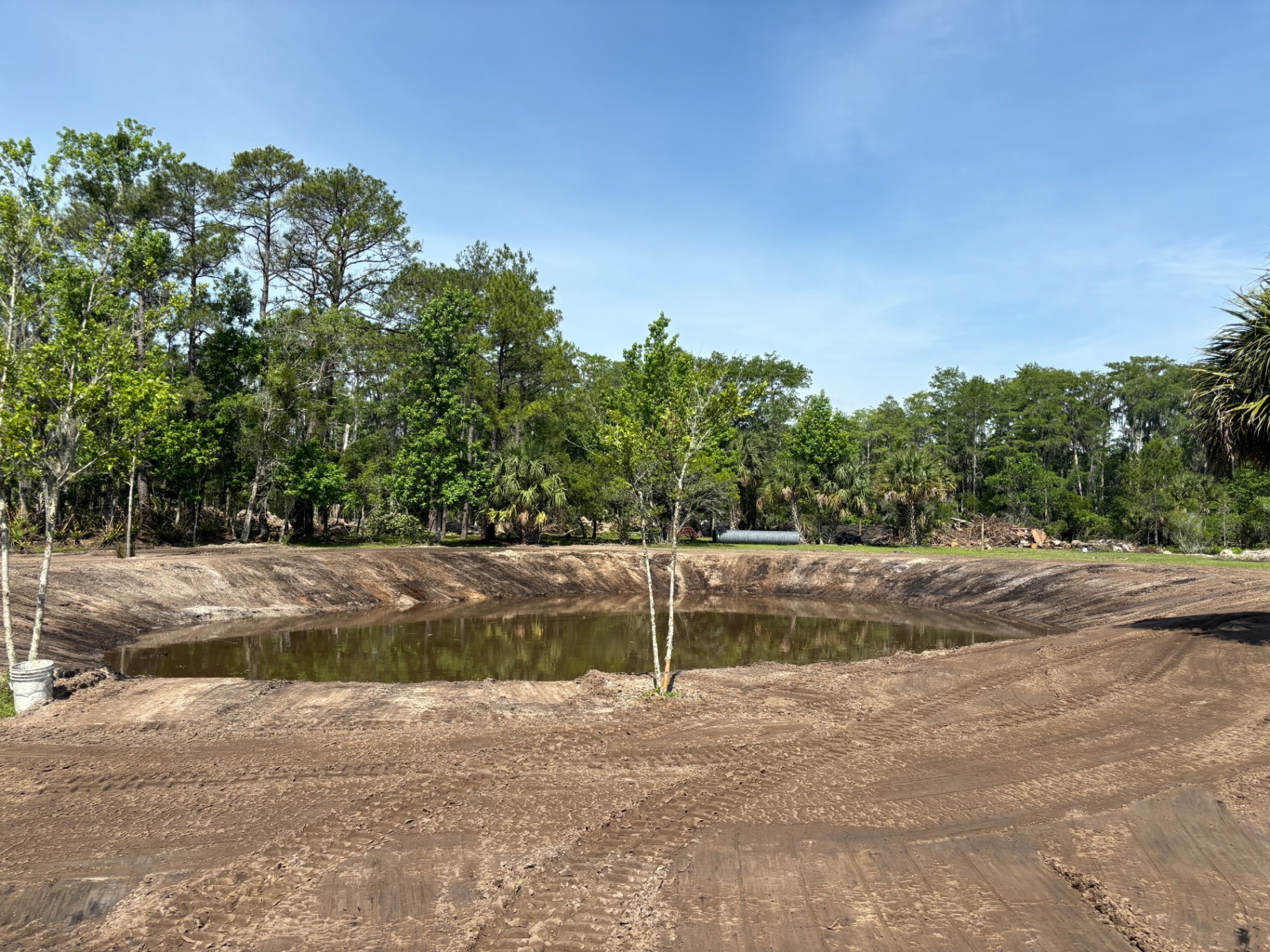 Finished Pond